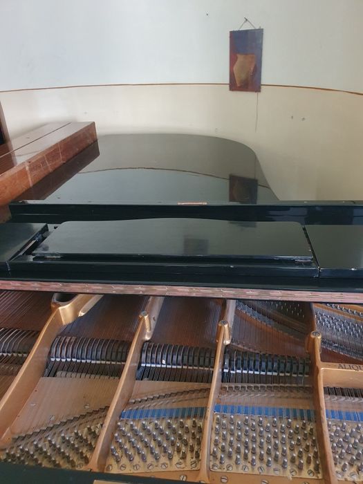 Pian de concert Bluthner.