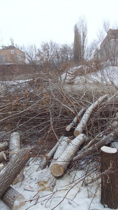 Спил кронирование сан обрезка деревьев