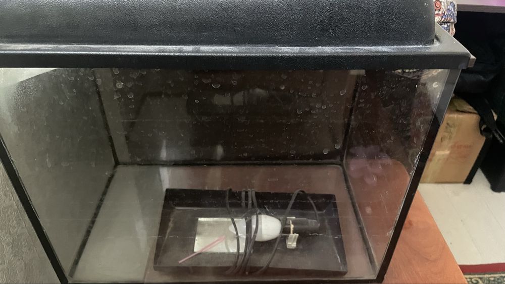 аквариум ,балықтарға