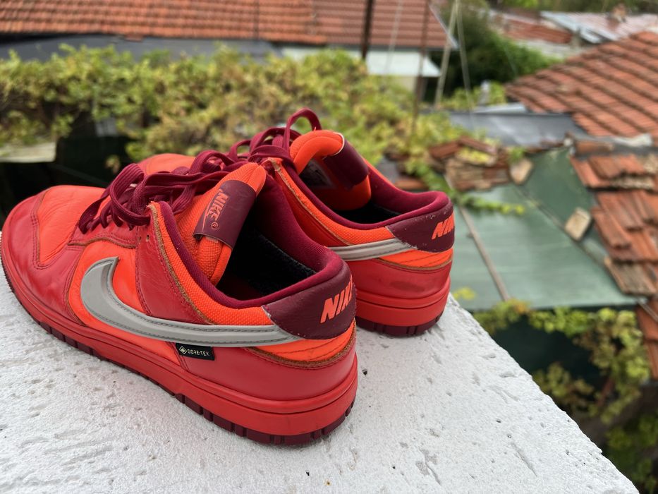 Nike Dunk Low 41 Gore-Tex