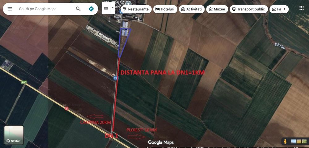 Hale de inchiriat Baicoi-Liliesti DN1