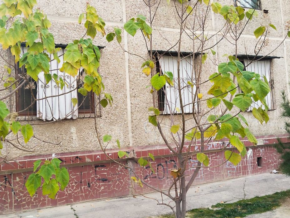 Срочно продаётся !!!