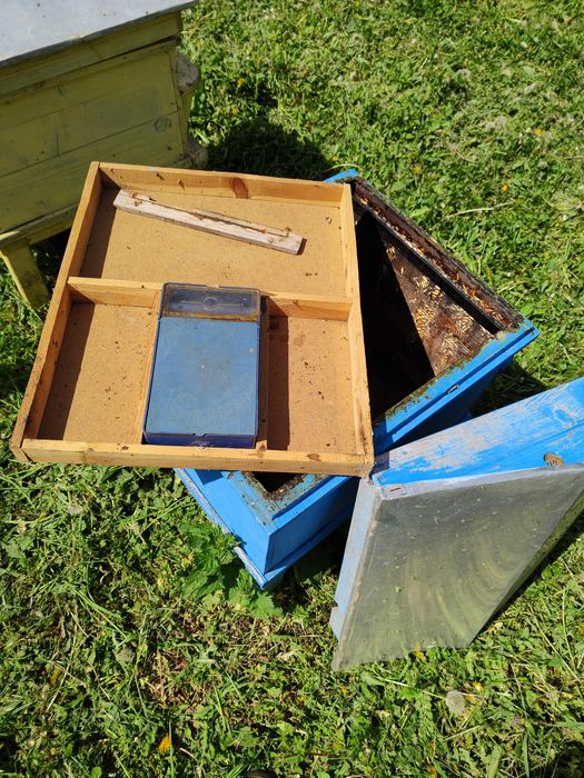 Кошери Дадан Блат и рамки