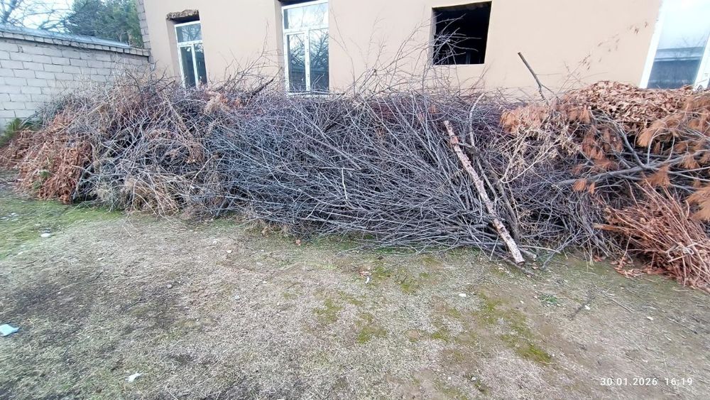 Продам дрова, ветки