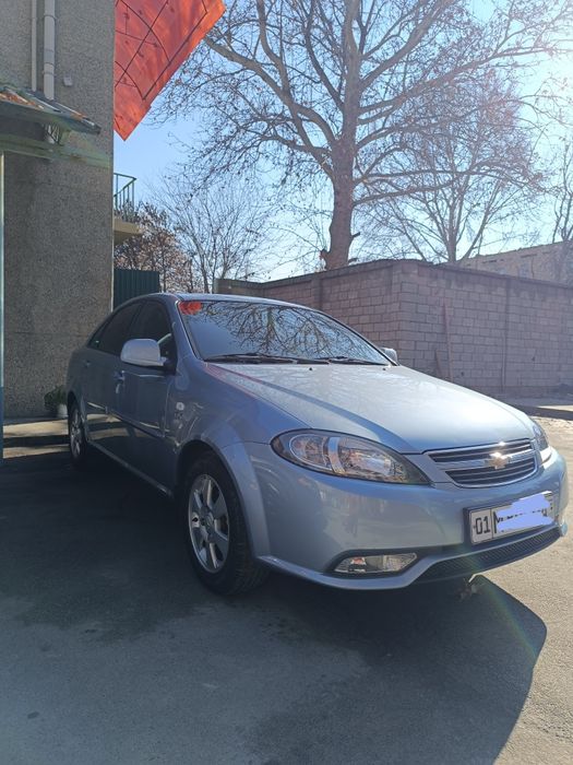 Джентра, дельфин 2019