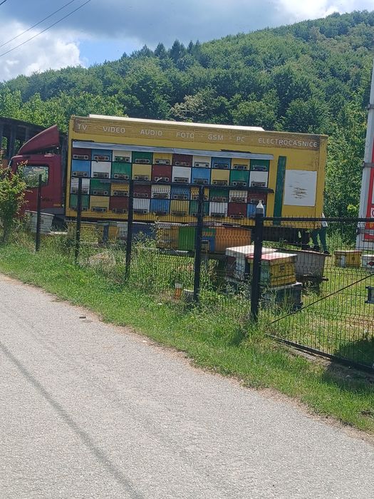 Vand Stupină cu Albine Bio