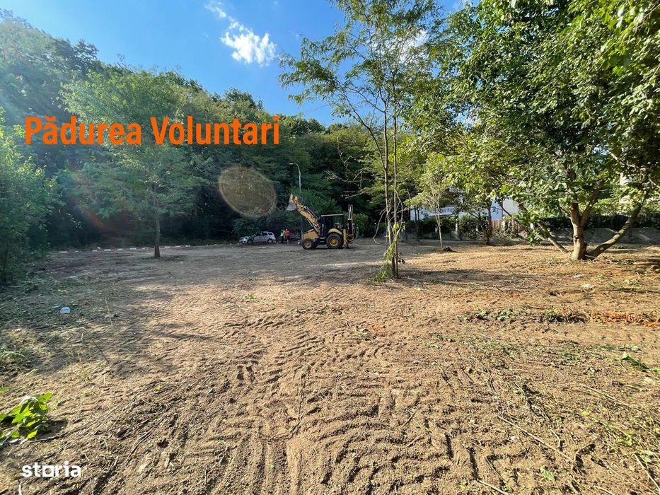 Vand teren la pădure,zona Matei Millo,Erou Mircea Marinescu,Voluntari