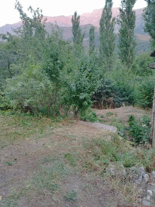 Toshkent viloyati Boʻstonliq tumani polvonak qishlogʻi