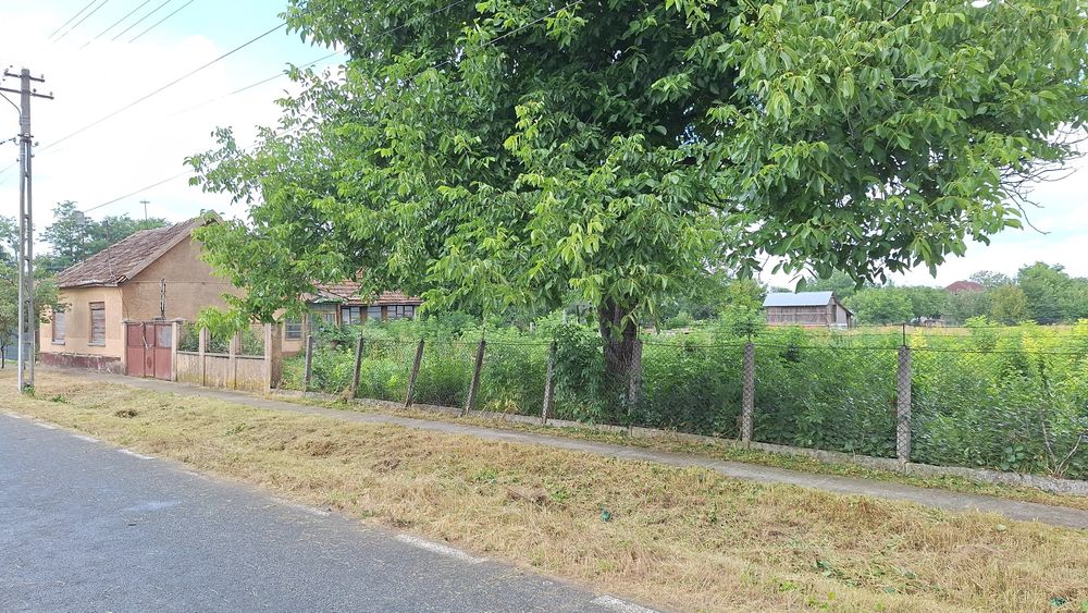 Casa veche cu teren 2877 mp