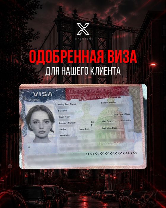 Виза в США B1 B2 F1