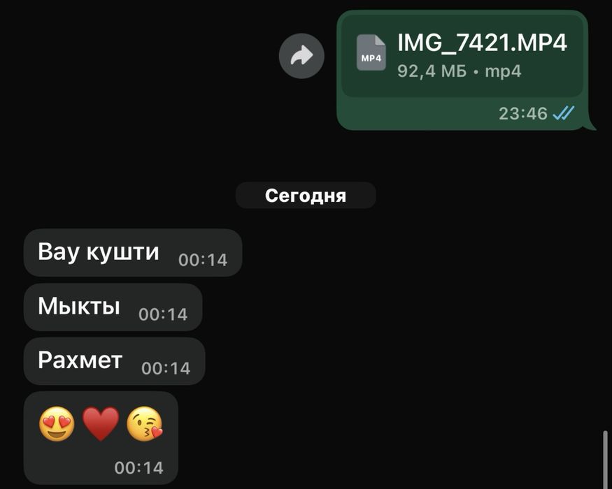 Мобилограф Уральск | booking 2026