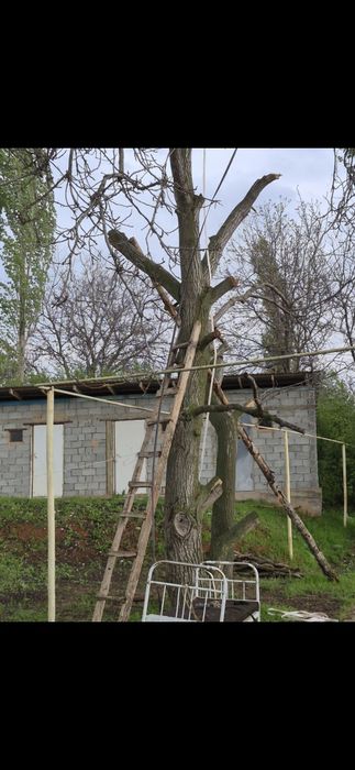 Продам орехвый ствол