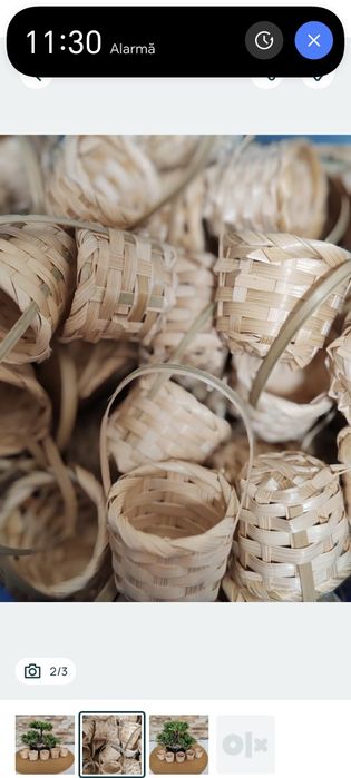 Cosulete pentru un trandafir