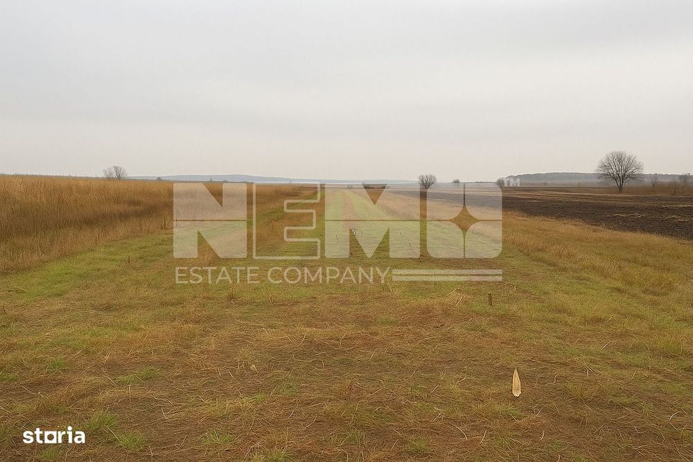Teren agricol | de vânzare | 5000 mp² | comuna Satu Mare