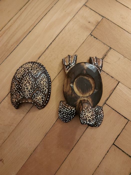 Уникална костенурка за бижута от Коста Рика, 25 лв