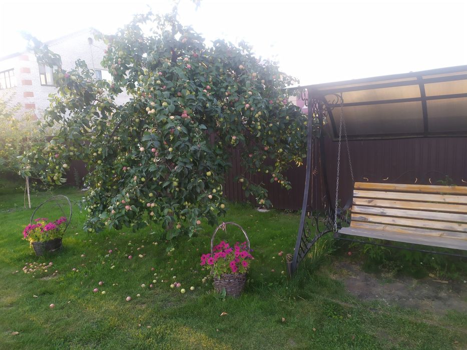 Продам дом п. Солнечный