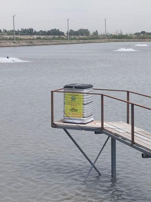 Сувда сузувчи озуқа/Плавающий корм для рыб