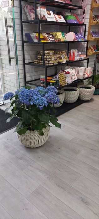 Горшки для цветов