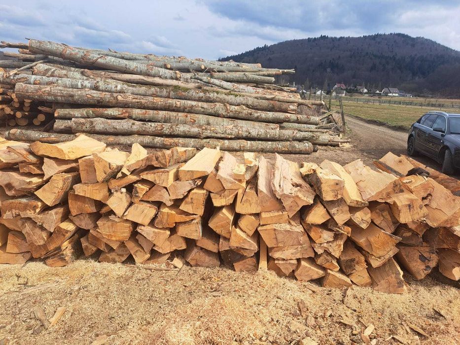 Lemne de foc-fag și brad.