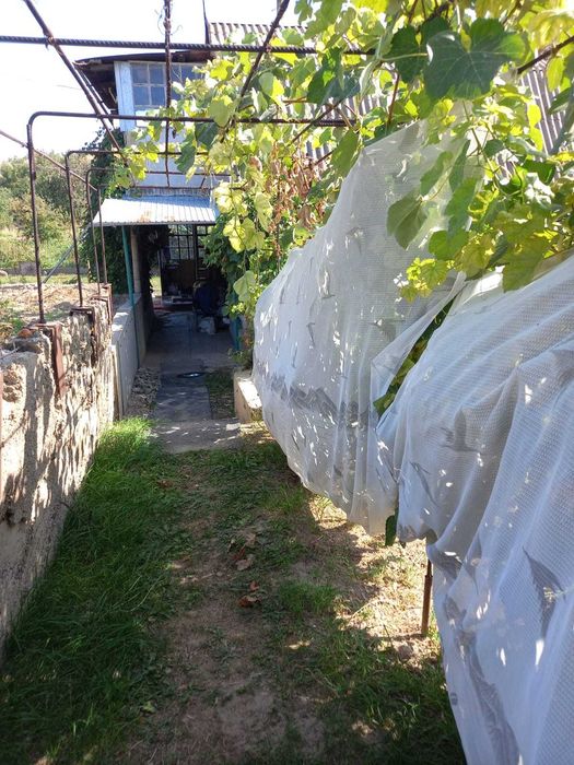 Продам дачный домик с участком в пригороде Алматы