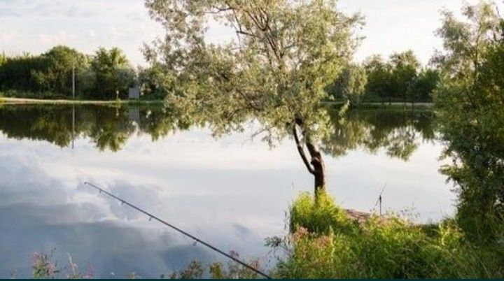 Гостевой домик по суточно