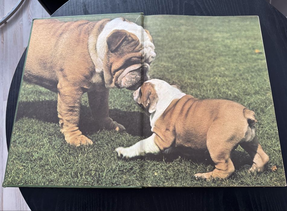 Кинология - книги и списания за кучето и котката