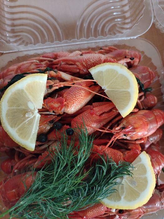 Раки живые морские