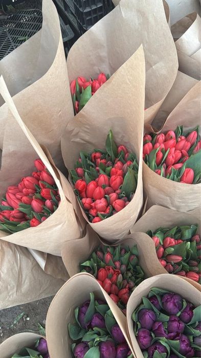Тюльпаны оптом с бесплатным хранением
