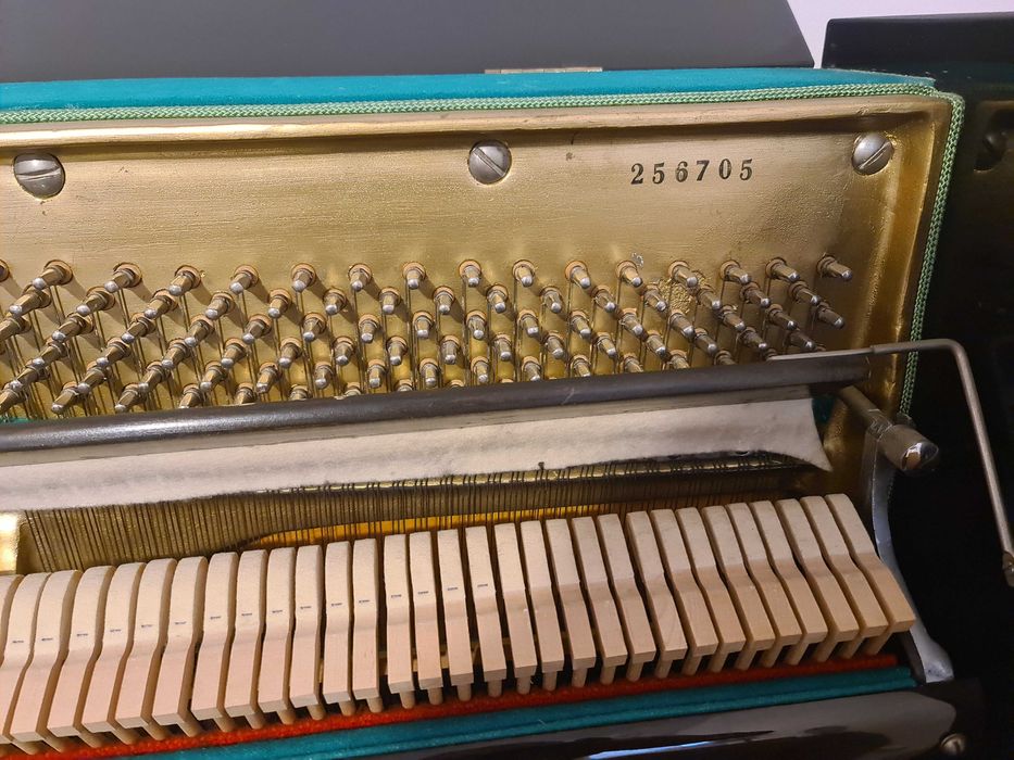 Пиано Tchaika акустично пиано