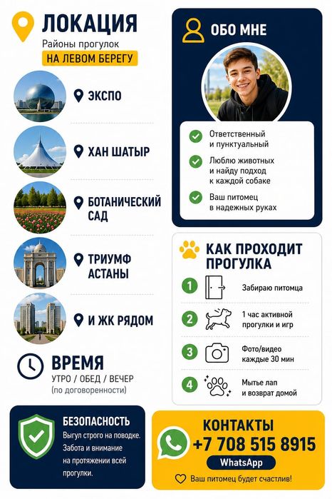 Выгул собак, домашних животных