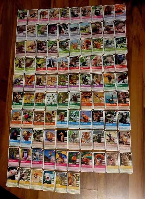 Colectia Expeditie in jurul lumii 2