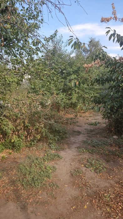 Продам дом в наурызбайском районе