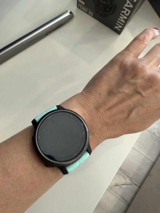 Garmin Fenix  6S