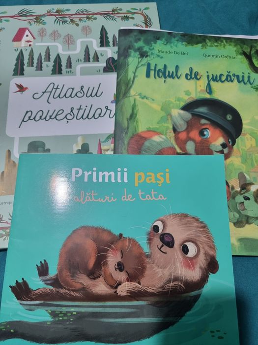 Cărți lectură copii