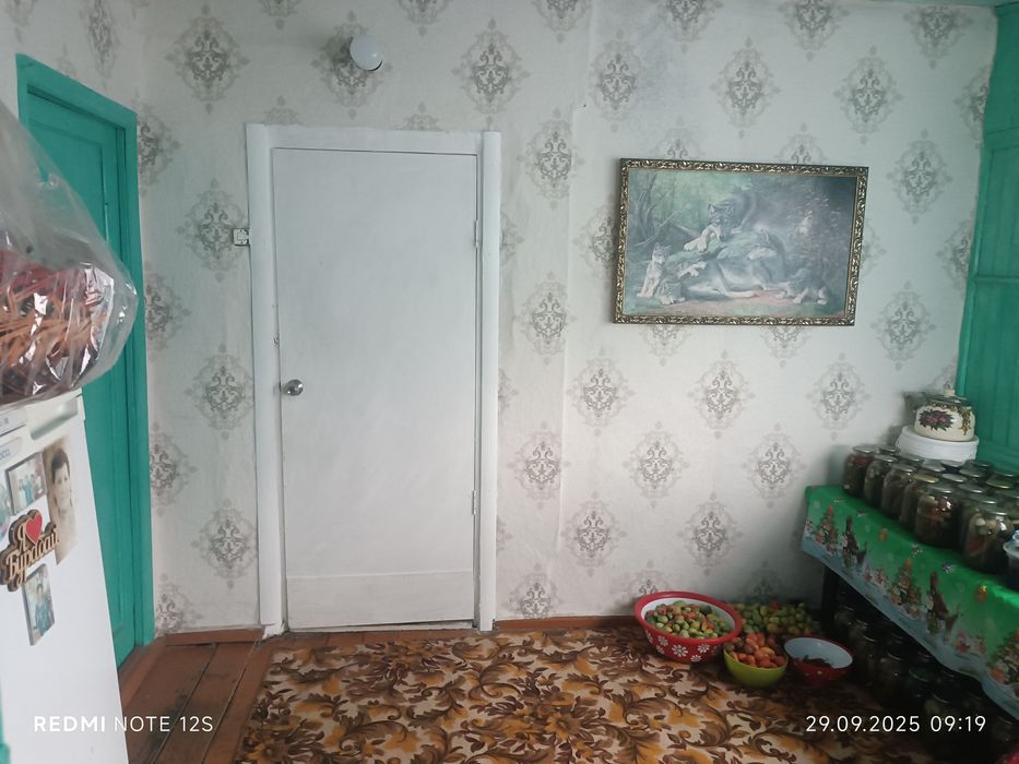 Продам дом с. Петровка