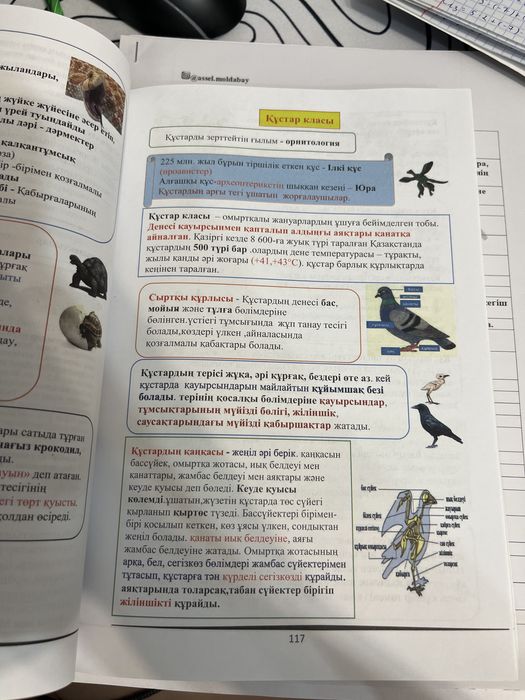 Книга для подготовки к ент