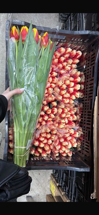 Тюльпаны букет цветов