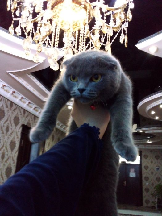 Porno foydalanuvchilarning jonli veb-kameralarini tomosha qiling