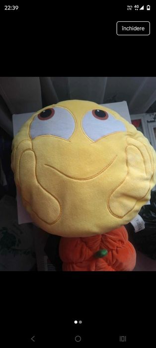 Set pernuțe decorative