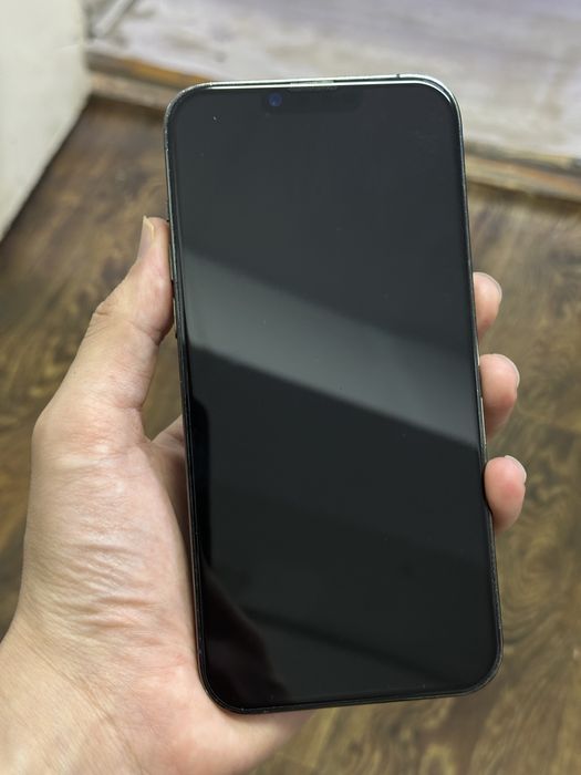 iPhone 13 Pro Max 512