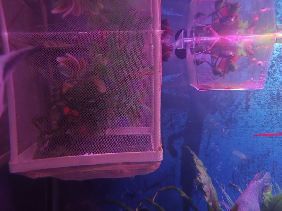 Аквариум 200 литров