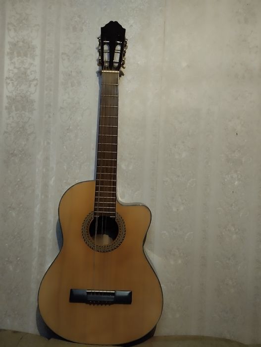 Гитара шести струнная.