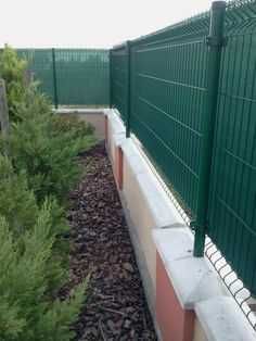 yevro tosiq  yevro zabor  tosiq