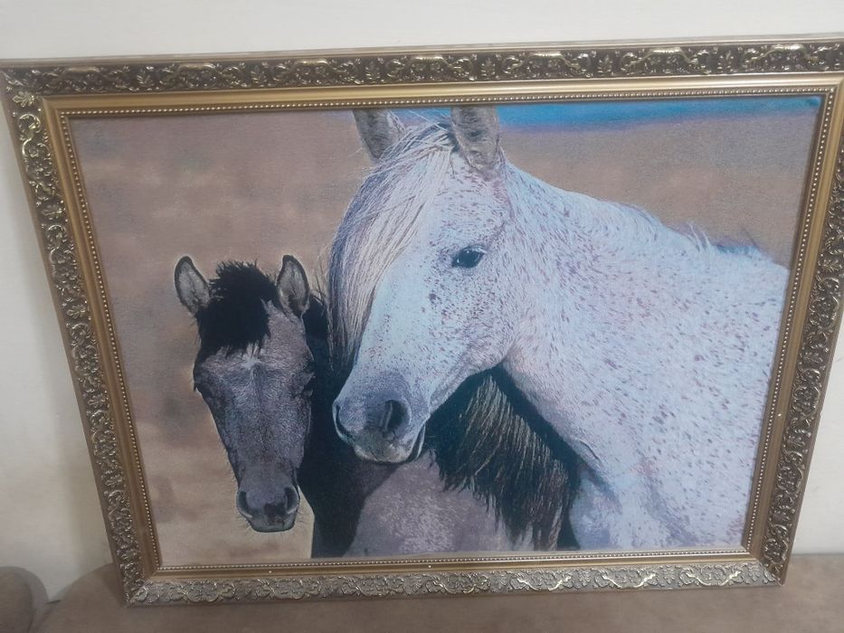 Osma Su'rat (oq va qora otlar)