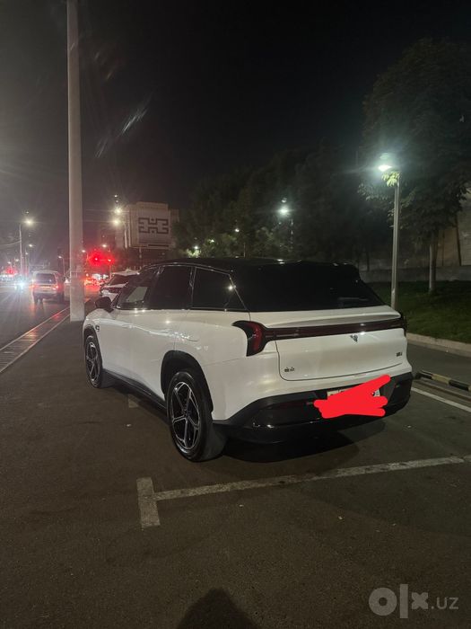 Neta L hybrid 1300km
