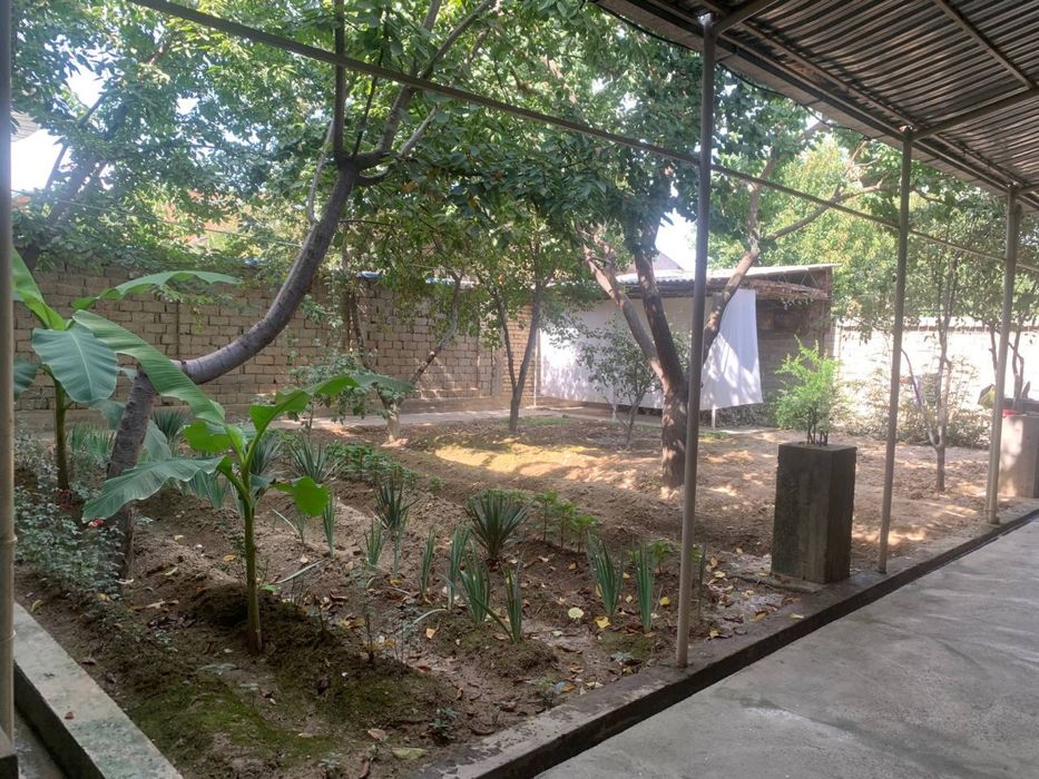 Куксарой эски 16 йиллик Чигатой махаллада файзли хонадон сотилади.