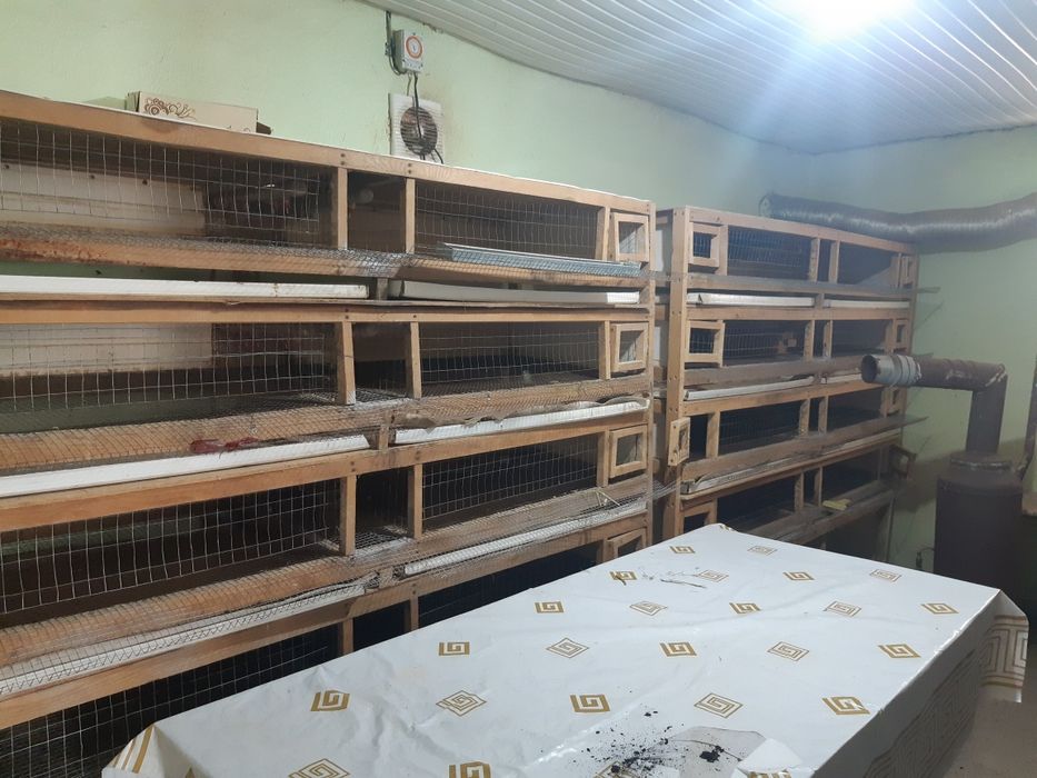 Клетки для перепелок