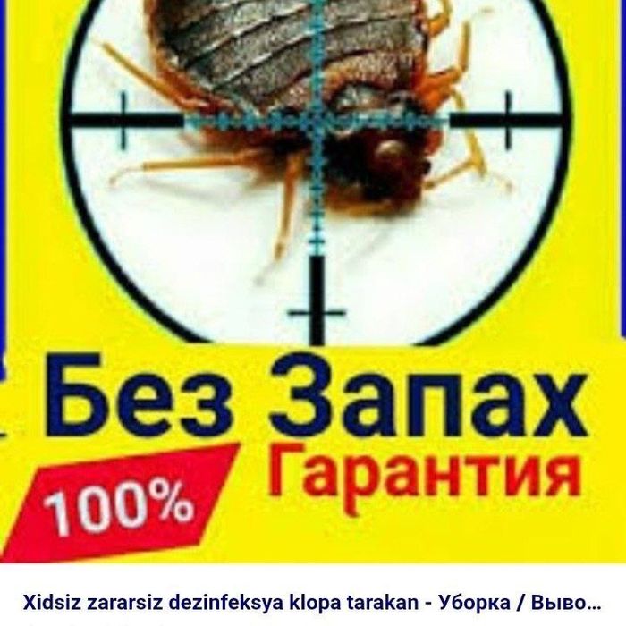 Dezinfeksiya Дезинфекция dizinfeksiya xizmati