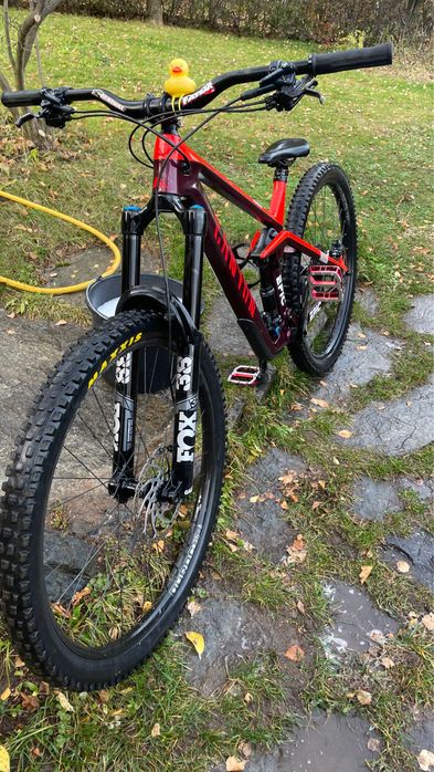 Canyon Strive 2022