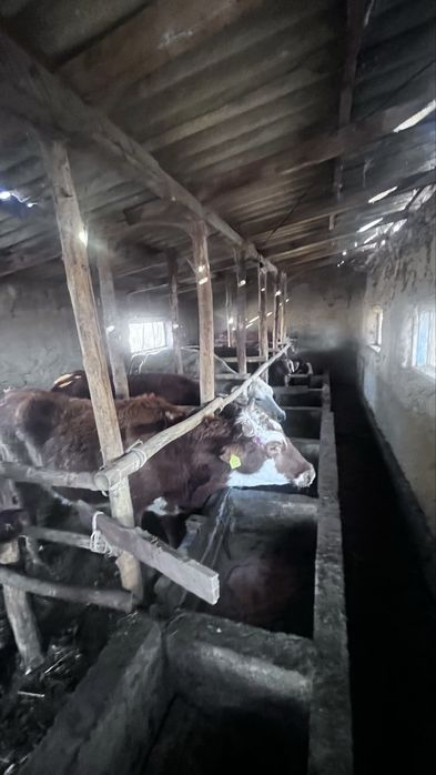 Ассалам алейкумм